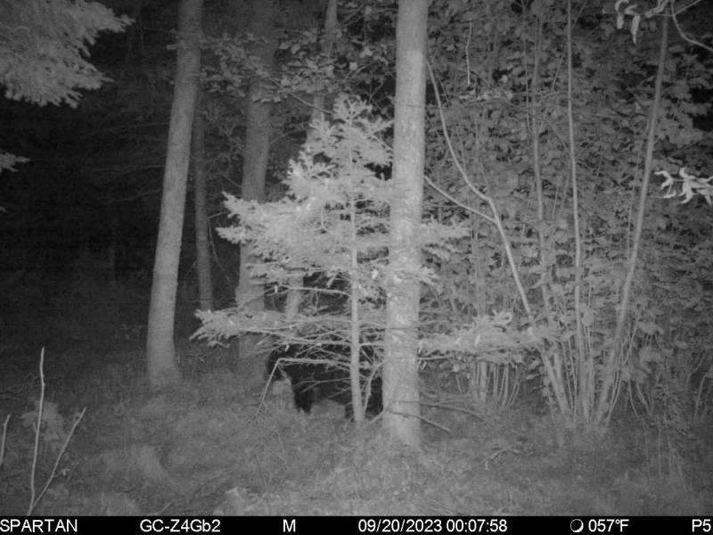 60ac On Hwy 107, , Tomahawk,  WI 54487 USA