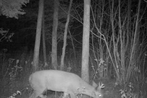 60ac On Hwy 107, , Tomahawk,  WI 54487 USA