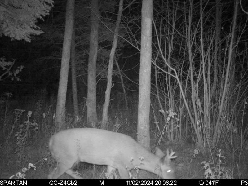60ac On Hwy 107, , Tomahawk,  WI 54487 USA