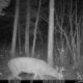 60ac On Hwy 107, , Tomahawk,  WI 54487 USA