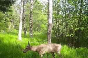 60ac On Hwy 107, , Tomahawk,  WI 54487 USA