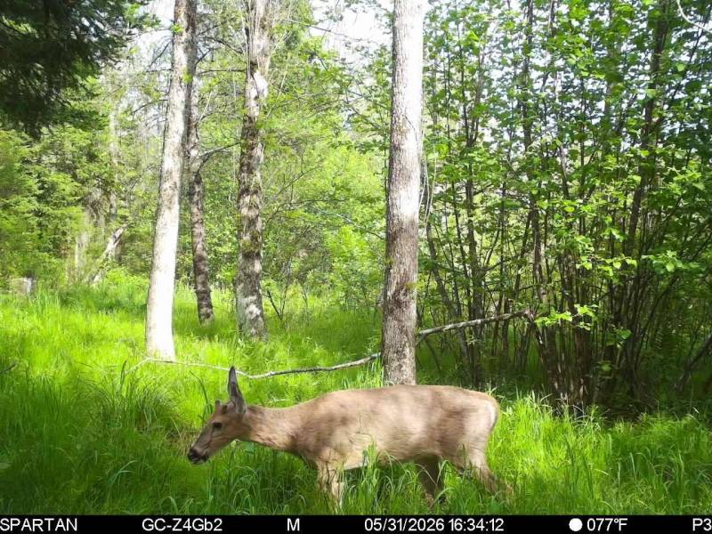 60ac On Hwy 107, , Tomahawk,  WI 54487 USA