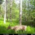 60ac On Hwy 107, , Tomahawk,  WI 54487 USA