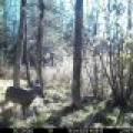 60ac On Hwy 107, , Tomahawk,  WI 54487 USA