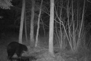 60ac On Hwy 107, , Tomahawk,  WI 54487 USA