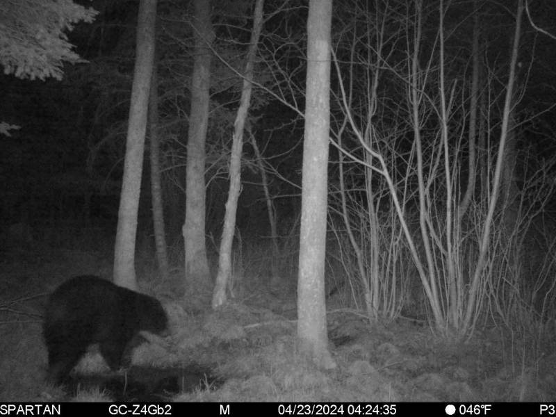 60ac On Hwy 107, , Tomahawk,  WI 54487 USA