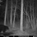 60ac On Hwy 107, , Tomahawk,  WI 54487 USA