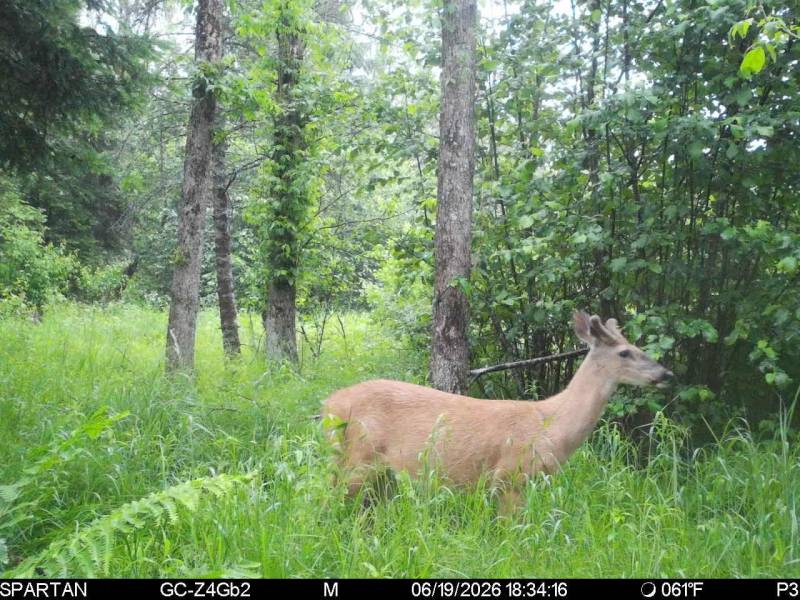 60ac On Hwy 107, , Tomahawk,  WI 54487 USA