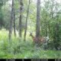 60ac On Hwy 107, , Tomahawk,  WI 54487 USA
