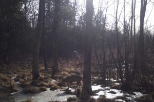 60ac On Hwy 107, , Tomahawk,  WI 54487 USA