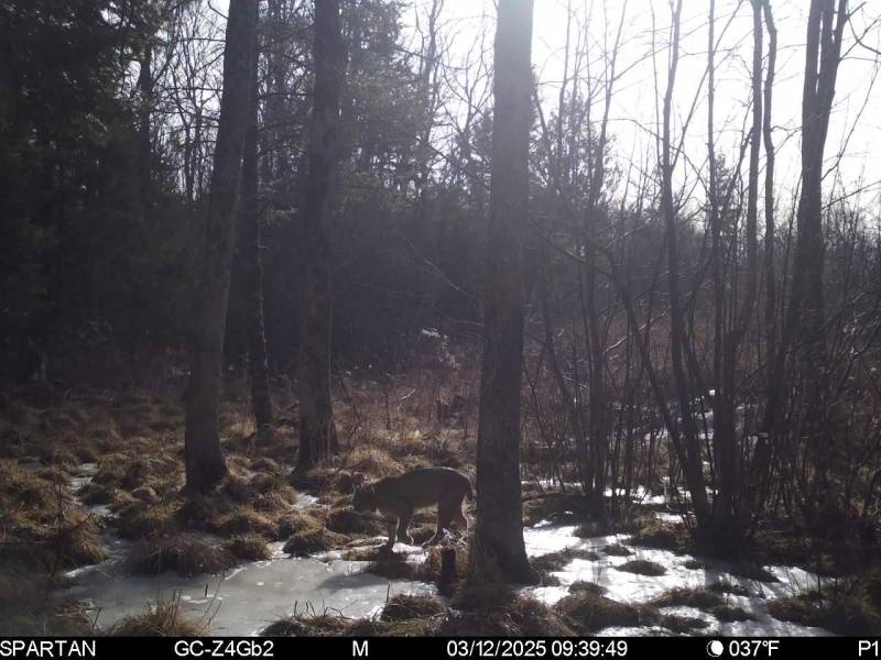 60ac On Hwy 107, , Tomahawk,  WI 54487 USA