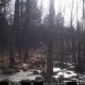 60ac On Hwy 107, , Tomahawk,  WI 54487 USA