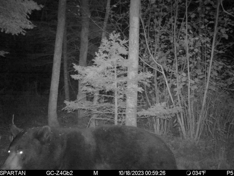 60ac On Hwy 107, , Tomahawk,  WI 54487 USA