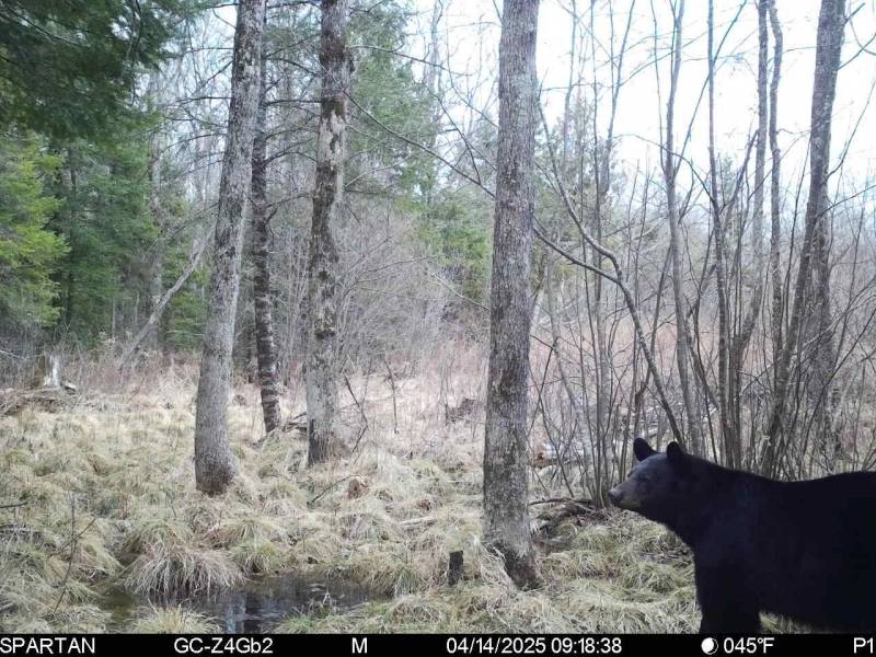 60ac On Hwy 107, , Tomahawk,  WI 54487 USA