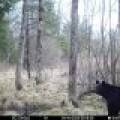 60ac On Hwy 107, , Tomahawk,  WI 54487 USA