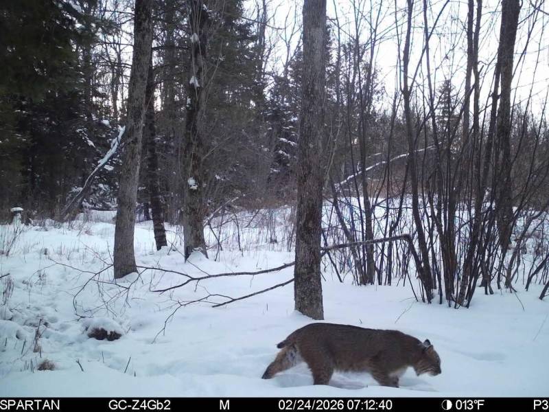 60ac On Hwy 107, , Tomahawk,  WI 54487 USA