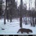 60ac On Hwy 107, , Tomahawk,  WI 54487 USA