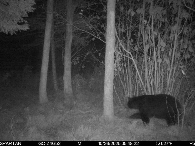 60ac On Hwy 107, , Tomahawk,  WI 54487 USA