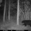 60ac On Hwy 107, , Tomahawk,  WI 54487 USA