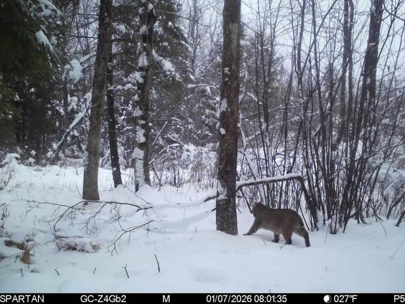 60ac On Hwy 107, , Tomahawk,  WI 54487 USA