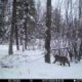 60ac On Hwy 107, , Tomahawk,  WI 54487 USA