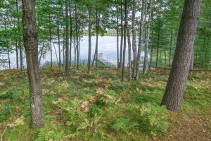 6422 Snipe Lake Rd, , Eagle River,  WI 54521 USA