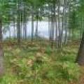 6422 Snipe Lake Rd, , Eagle River,  WI 54521 USA