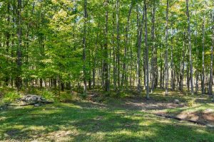 7201 Birch Dr, , Eagle River,  WI 54521 USA