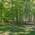 7201 Birch Dr, , Eagle River,  WI 54521 USA