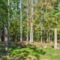 7201 Birch Dr, , Eagle River,  WI 54521 USA