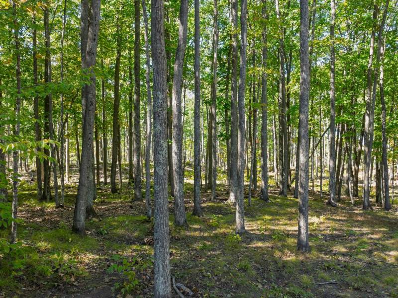 7201 Birch Dr, , Eagle River,  WI 54521 USA