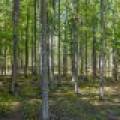 7201 Birch Dr, , Eagle River,  WI 54521 USA