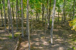 7201 Birch Dr, , Eagle River,  WI 54521 USA