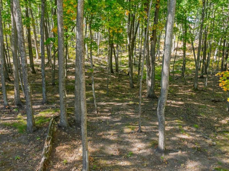 7201 Birch Dr, , Eagle River,  WI 54521 USA