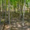 7201 Birch Dr, , Eagle River,  WI 54521 USA