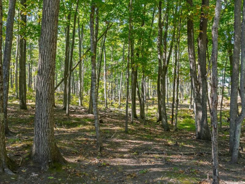 7201 Birch Dr, , Eagle River,  WI 54521 USA