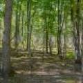 7201 Birch Dr, , Eagle River,  WI 54521 USA