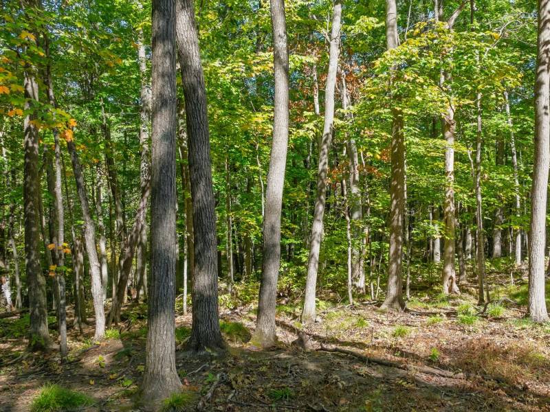 7201 Birch Dr, , Eagle River,  WI 54521 USA