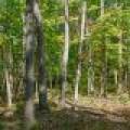 7201 Birch Dr, , Eagle River,  WI 54521 USA