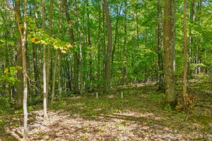 7201 Birch Dr, , Eagle River,  WI 54521 USA
