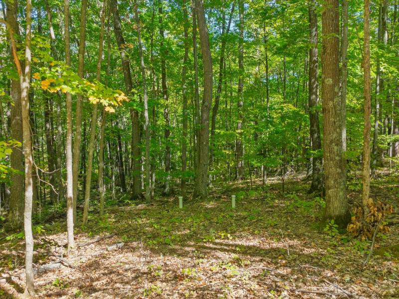 7201 Birch Dr, , Eagle River,  WI 54521 USA