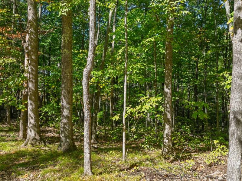 7201 Birch Dr, , Eagle River,  WI 54521 USA