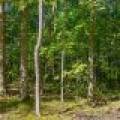 7201 Birch Dr, , Eagle River,  WI 54521 USA