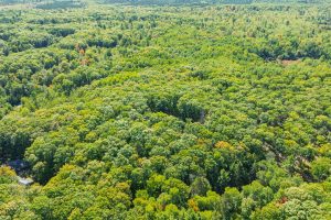 7201 Birch Dr, , Eagle River,  WI 54521 USA