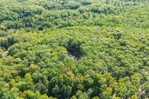 7201 Birch Dr, , Eagle River,  WI 54521 USA