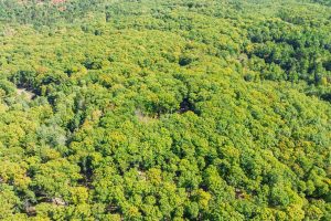 7201 Birch Dr, , Eagle River,  WI 54521 USA