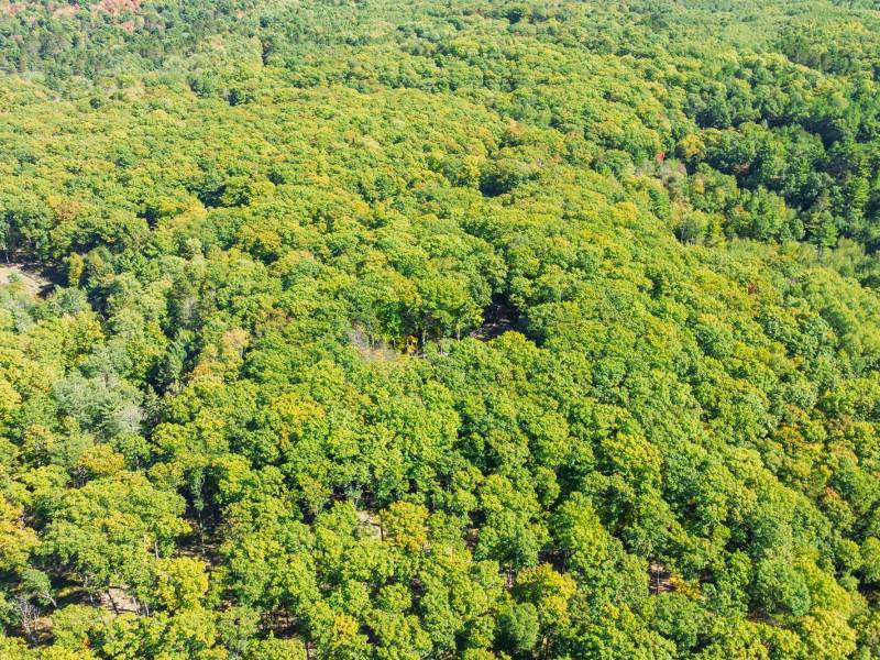 7201 Birch Dr, , Eagle River,  WI 54521 USA