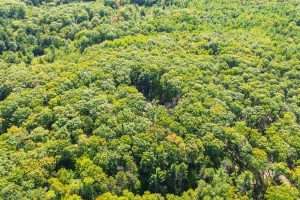 7201 Birch Dr, , Eagle River,  WI 54521 USA