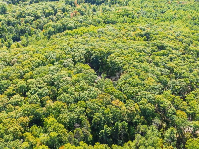 7201 Birch Dr, , Eagle River,  WI 54521 USA
