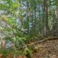 #13  Off Anton Trl, Phelps,  WI 54554 USA